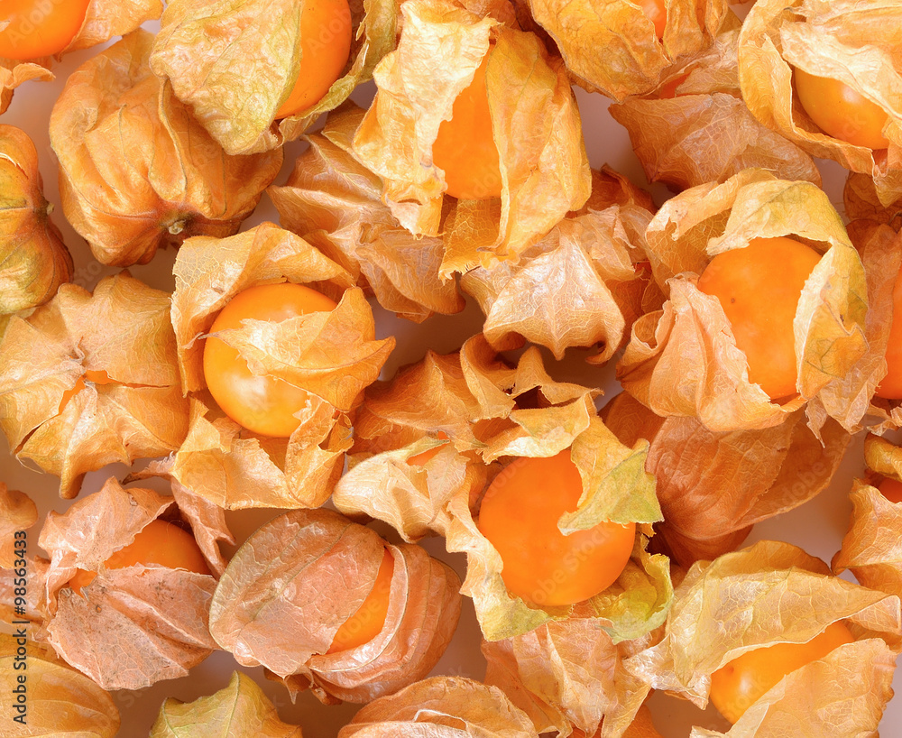Cape Gooseberry on white background Cape Gooseberry on white background