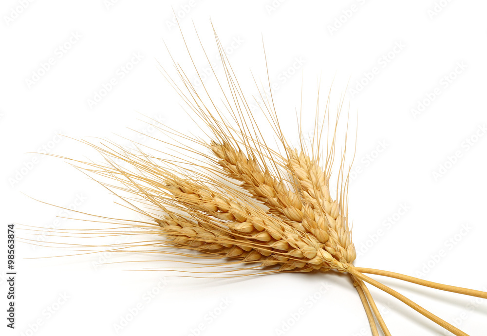 Wheat bundle Wheat bundle