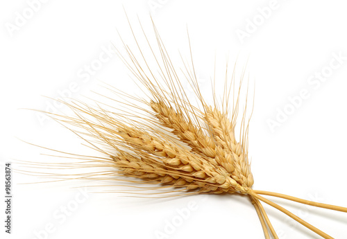 Wheat bundle