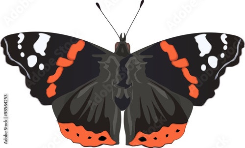 red admiral