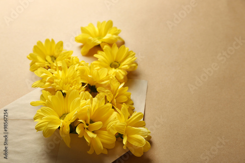 Yellow chrysanthemum in envelope on beige background