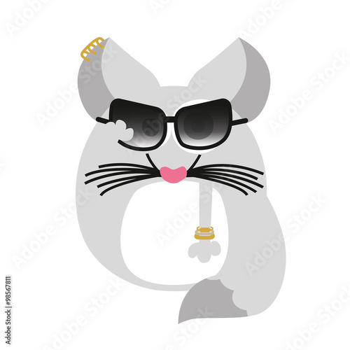 Chinchilla lady with sunglasses. Vector design. 