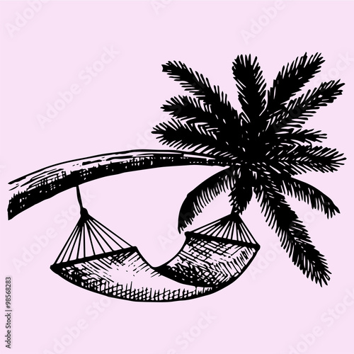 Hammock hanging on palm, doodle style, sketch illustration