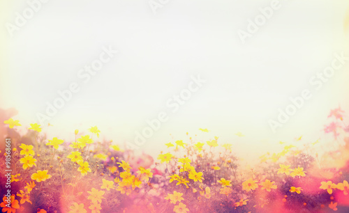 Various colorful spring flowers in sunlight, blur, banner for web site, border © sergeyshibut