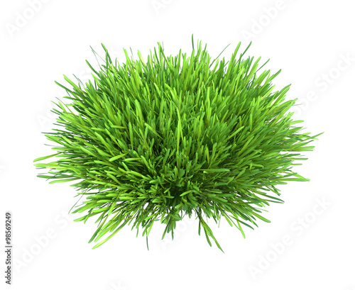 Fresh green grass piece of land isolated on white background
