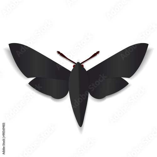 A black paper butterfly with dark red eyes
