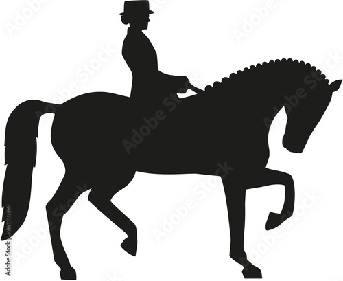 Silhouette of dressage horse and rider