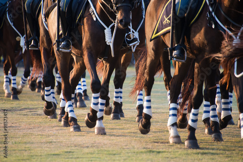 Fototapeta Naklejka Na Ścianę i Meble -  Horse Guards Parade