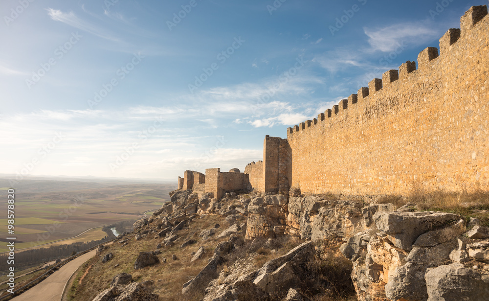 Wall of Castle