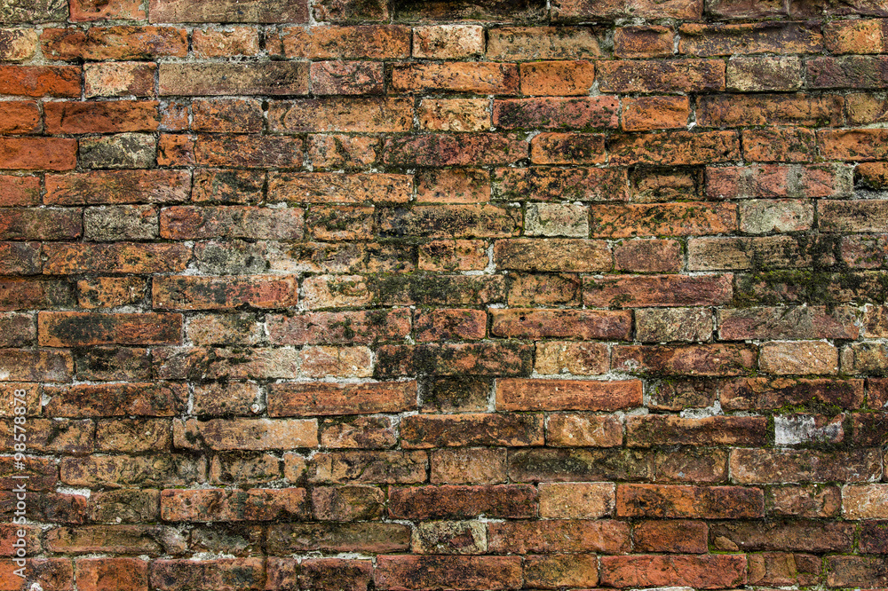 Fototapeta premium Brick wall