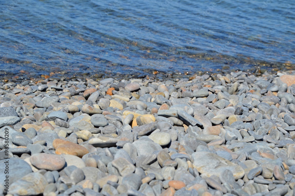 sea stones