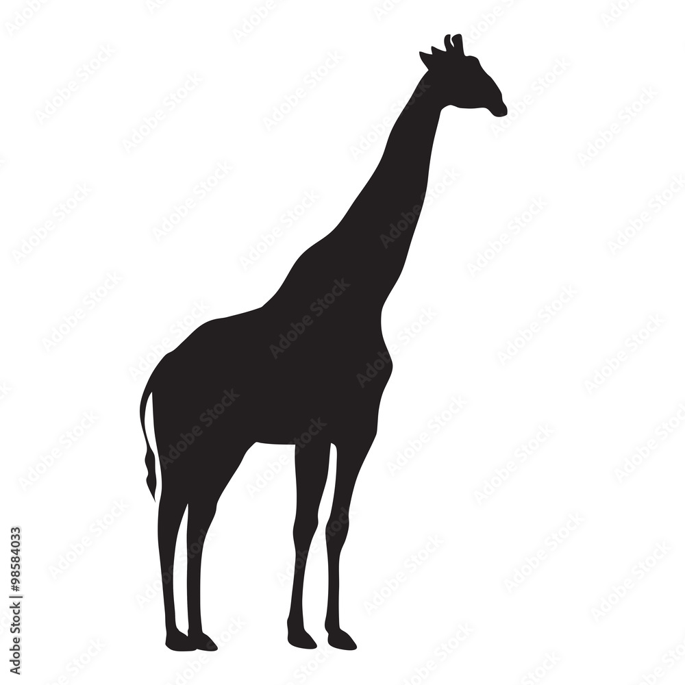 silhouette of a giraffe
silhouette of a giraffe