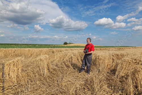 Farmer or agronomist inspect damaged wheat field after storm © sima