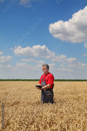 Farmer or agronomist inspect wheat field using tablet, harvest time © sima