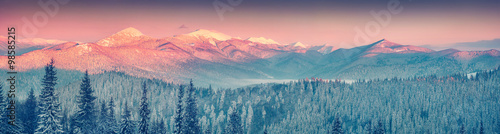 Slika na platnu Colorful winter panorama in the Carpathian mountains