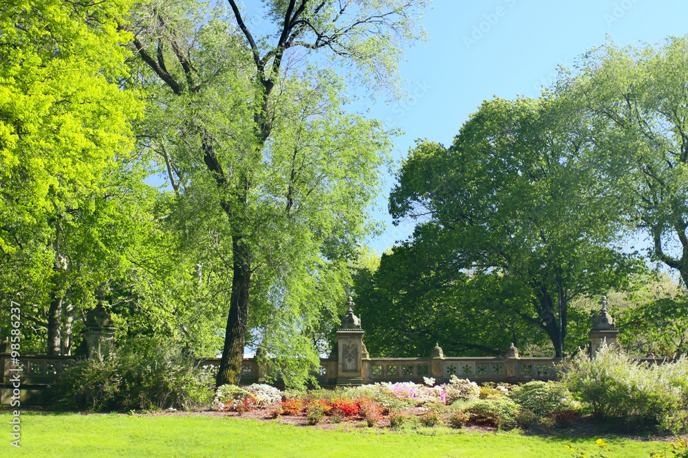 Obraz premium Spring park with blossoming flowerbeds