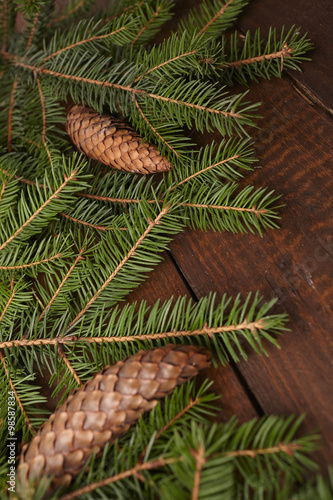 Christmas tree branch, pine cones