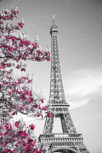 Fototapeta Naklejka Na Ścianę i Meble -  infrared photography Eiffel Tower