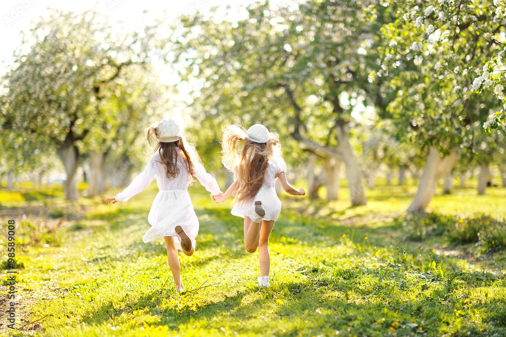 portrait of two girls of girlfriends on a summer nature portrait of two girls of girlfriends on a summer nature