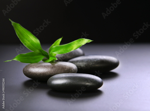 Pebbles with bamboo leaf on black background