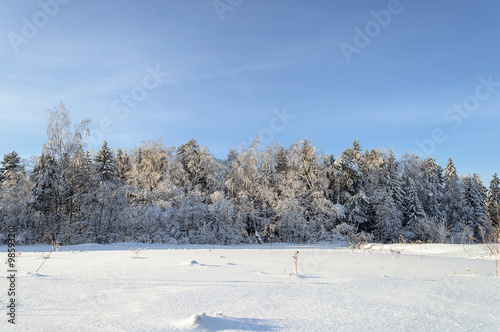 Winter landscape with fancy snow-covered trees