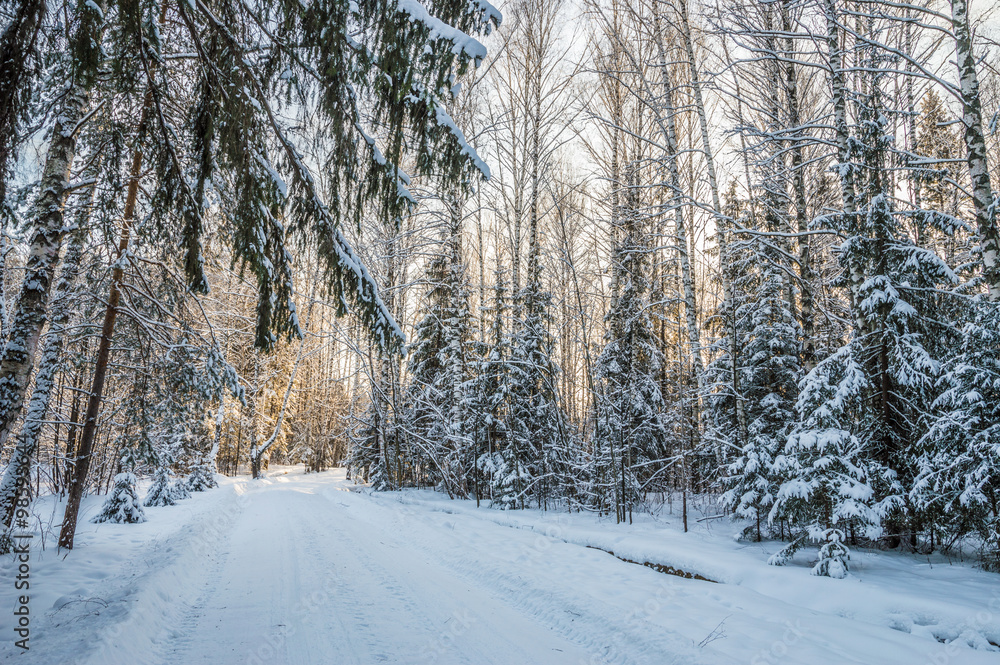 beautiful winter landscape with road and snow-covered trees beautiful winter landscape with road and snow-covered trees