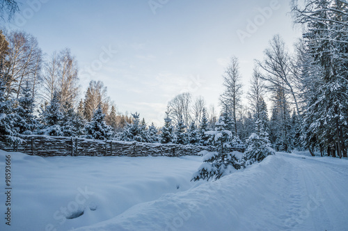beautiful winter landscape with road and snow-covered trees