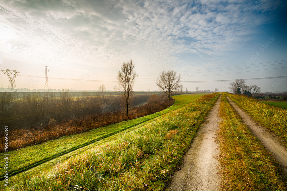 Naklejka premium country road in foggy countryside