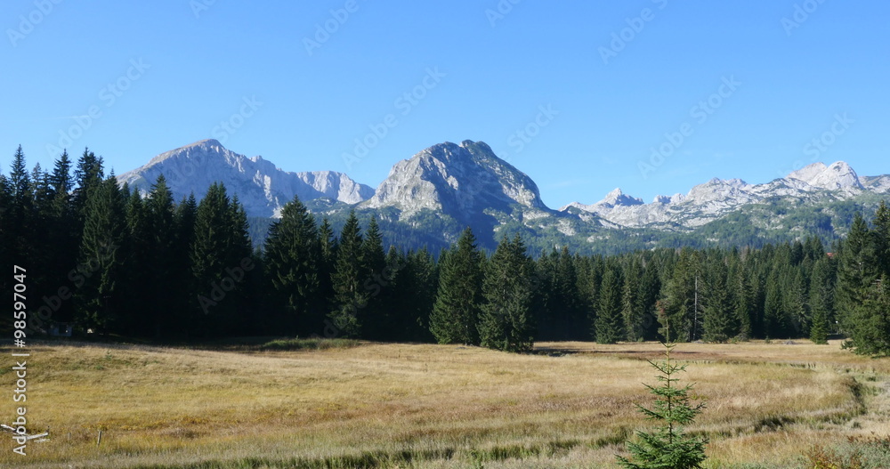 view on the top of the Durmitor National Park view on the top of the Durmitor National Park