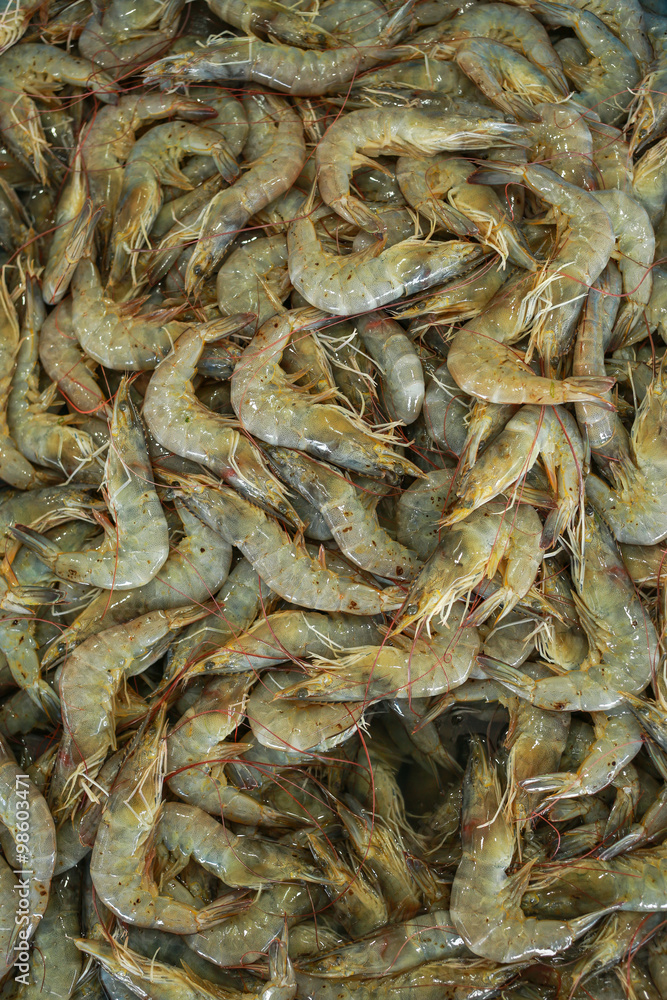 Fresh shrimp at the market for sell