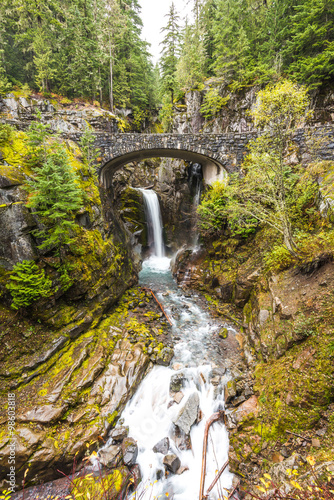 Cristian fall scene when autumn in mt.Rainier National park