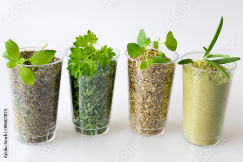 Collection of Dried and Fresh Herbs - from left: marjoram, parsl photo