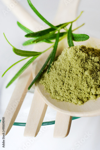 Ground and Fresh Rosemary / Rosemarinus officinalis photo