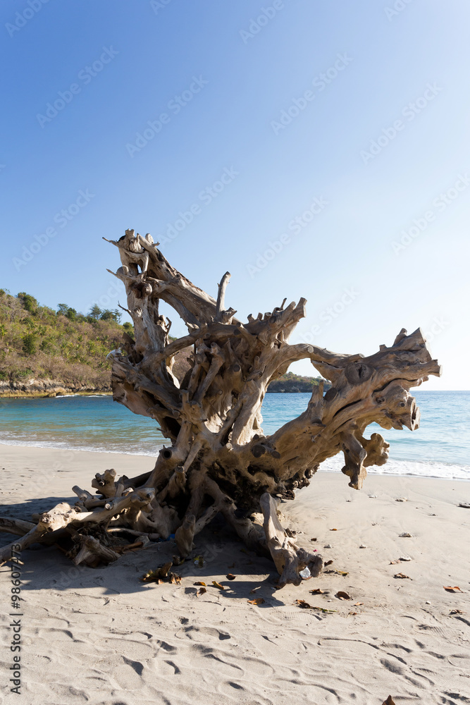 famous Crystal beach at Nusa Penida island famous Crystal beach at Nusa Penida island