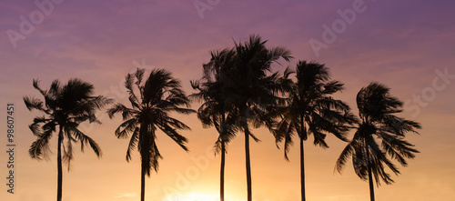 Fototapeta Naklejka Na Ścianę i Meble -  Coconut sky