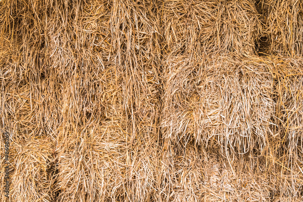 Pile of straw texture background Pile of straw texture background