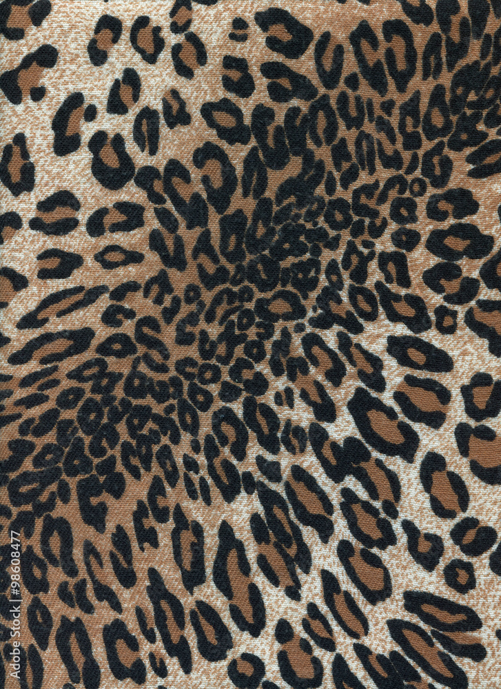 Obraz premium Leopard skins