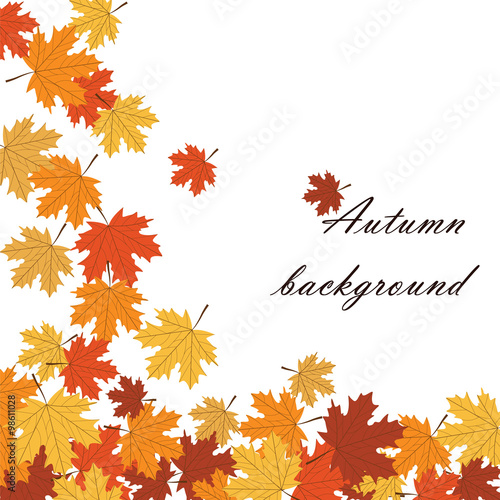 Autumn background with maple leaves. Vector
