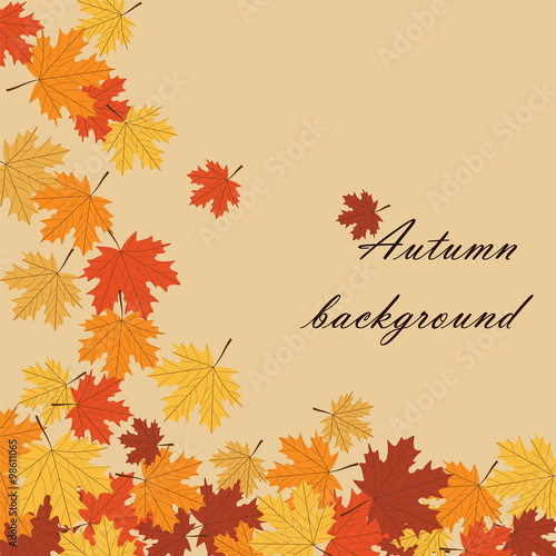Autumn background with maple leaves. Vector