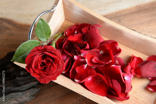 Obraz na plátne still life of concept love forever.