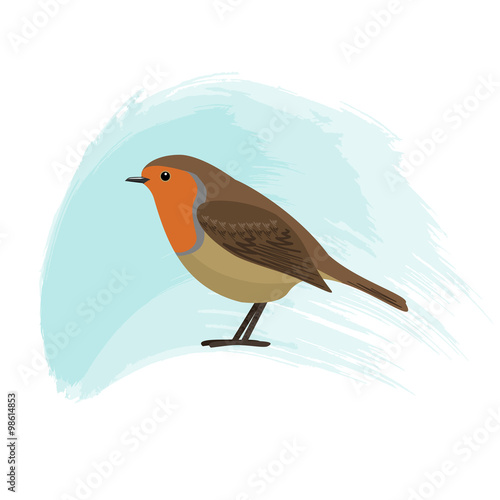 Robin, little bird on a blue background. Vector illustration