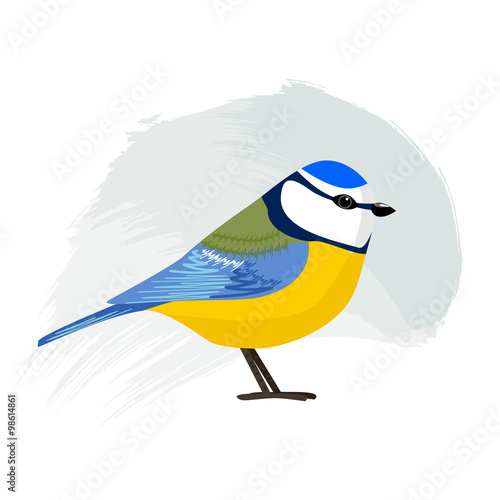 Blue Tit, little bird on a blue background. Vector illustration