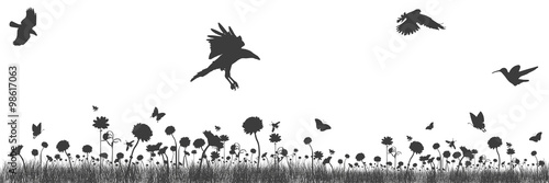 Blumenwiese mit Schmetterlingen, Vögeln und Bienen