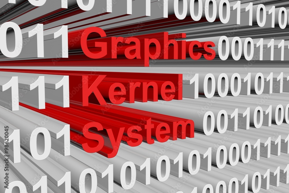 graphics kernel system are presented in the form of binary code