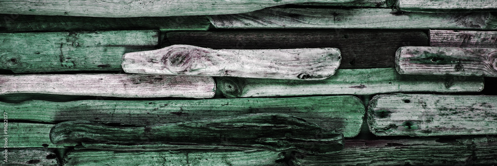Green driftwood - imaginative background texture, panorama.