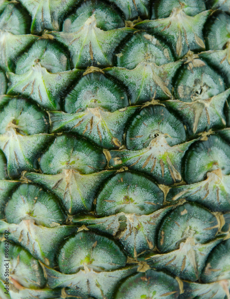 pineapple shell pineapple shell