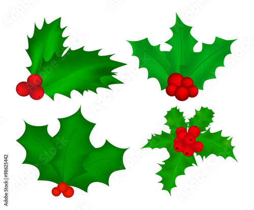 Holly berry, Christmas leaves and fruits icon, symbol, design. Winter vector illustration isolated on white background. © wektorygrafika