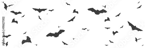 Silhouetten von Fledermäusen im Panorama