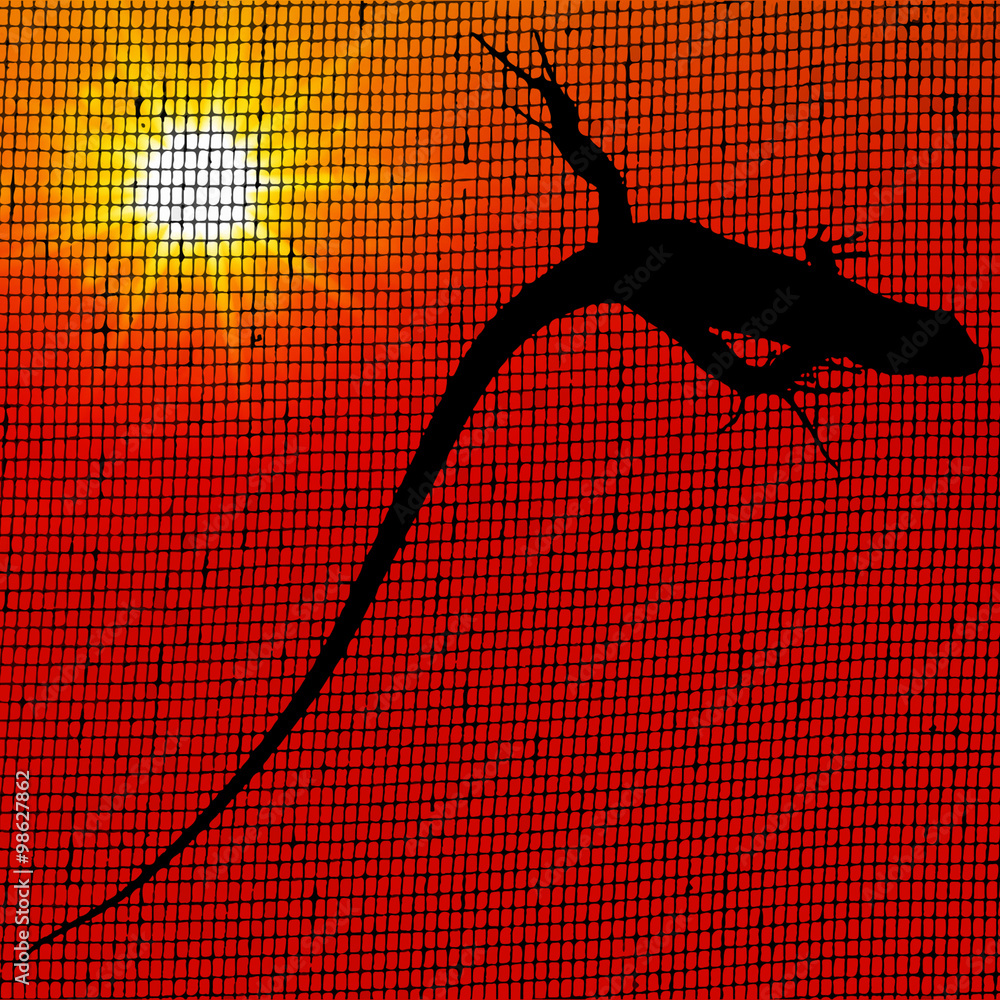 Fototapeta premium #1171251