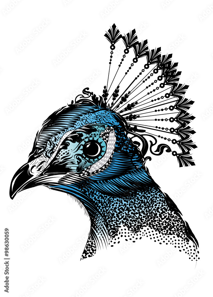 Fototapeta premium ein ornamental verzierter Pfauen Kopf mit einer Federkrone
